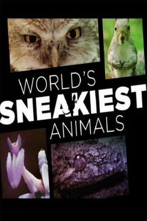 Title poster