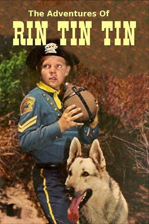Title poster