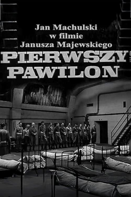 First Pavilion poster