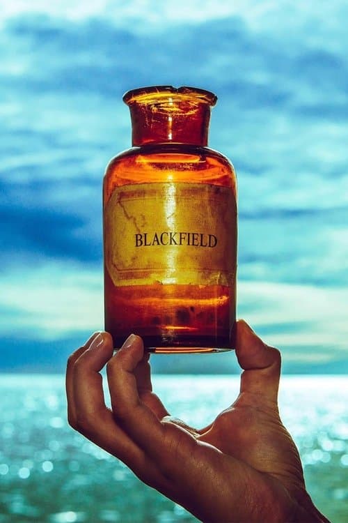 Blackfield V poster