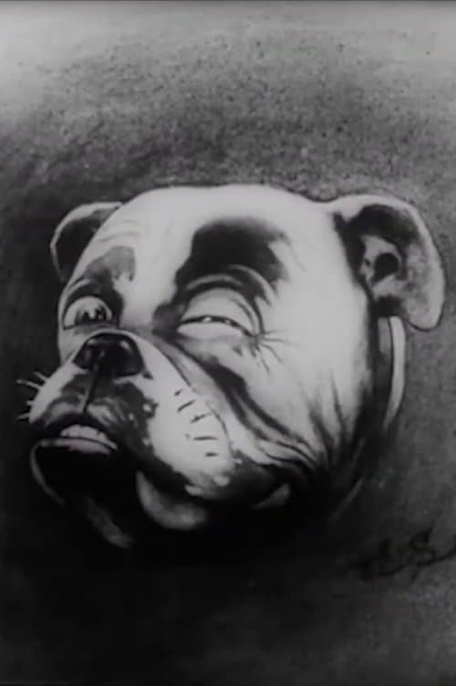 Studdy's War Cartoons poster