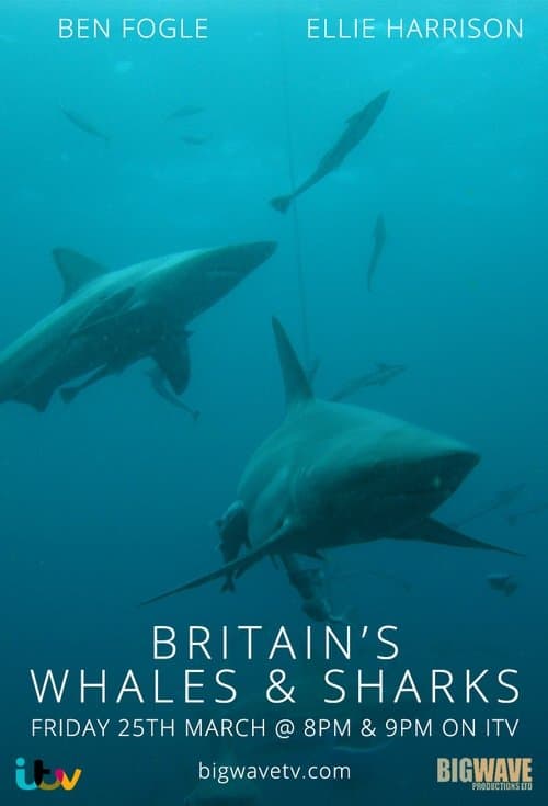 Title poster