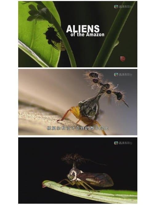 undefined poster