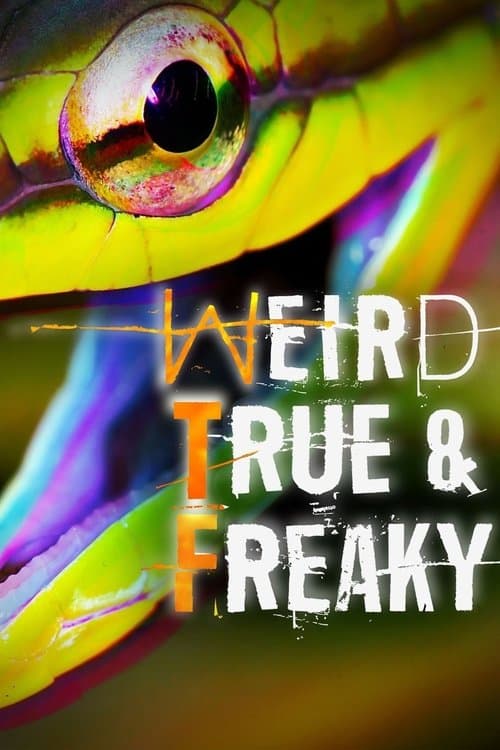 Title poster