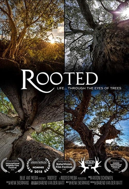 undefined poster