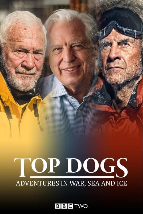 Title poster