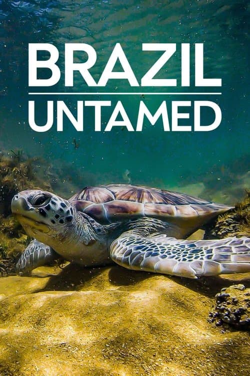 Title poster