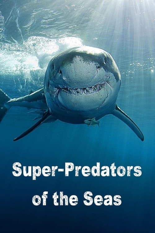 undefined poster