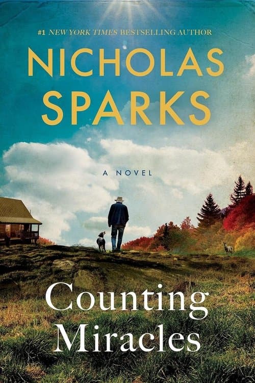 Counting Miracles poster