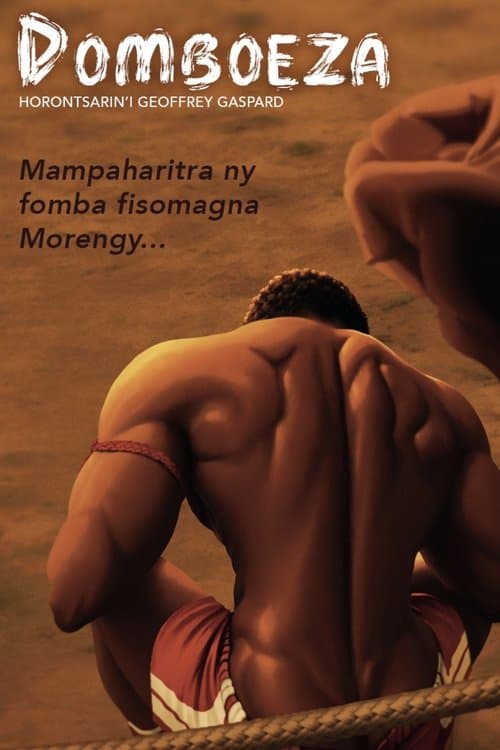 Domboeza poster