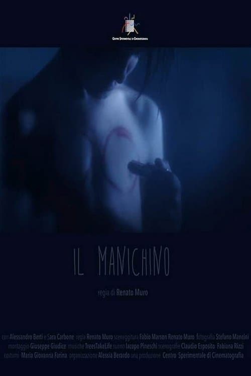 The Mannequin poster