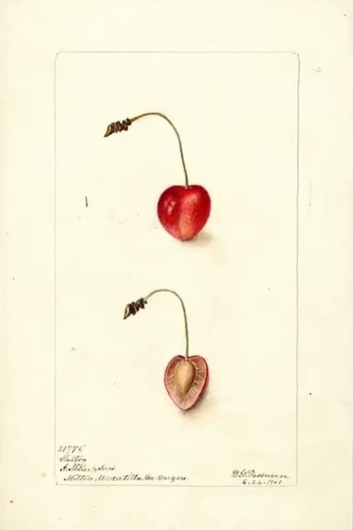 Pomological poster