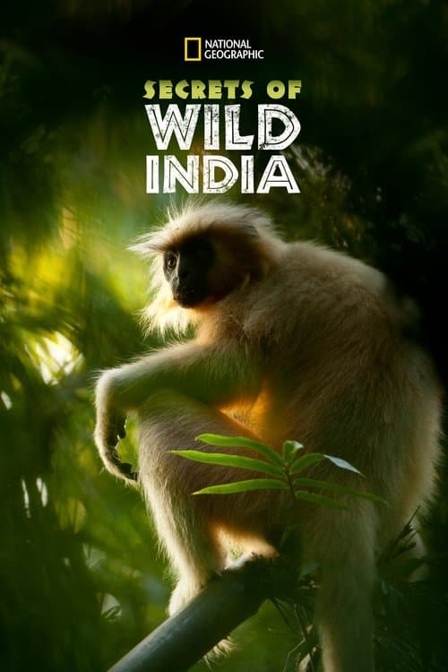 Title poster