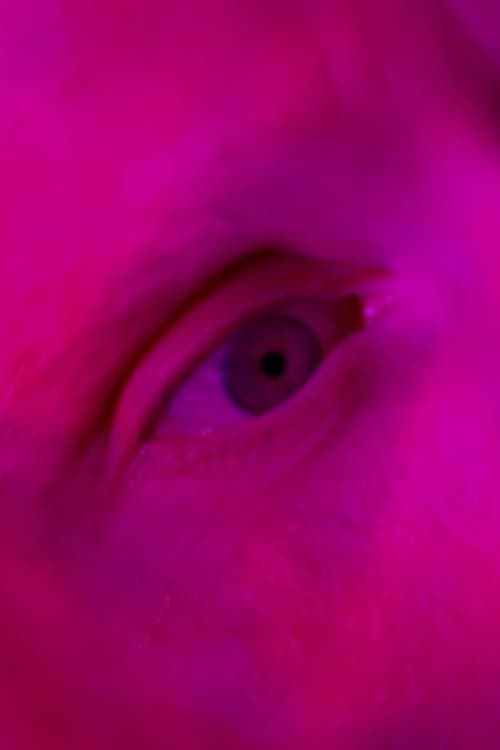 Endliche Erinnerungen poster