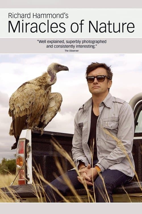undefined poster