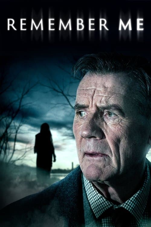 undefined poster