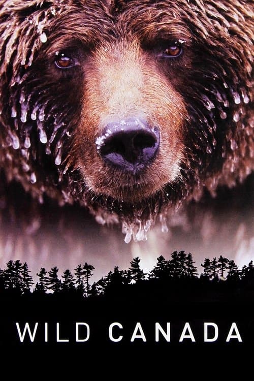 undefined poster