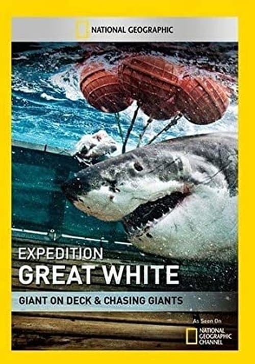 undefined poster