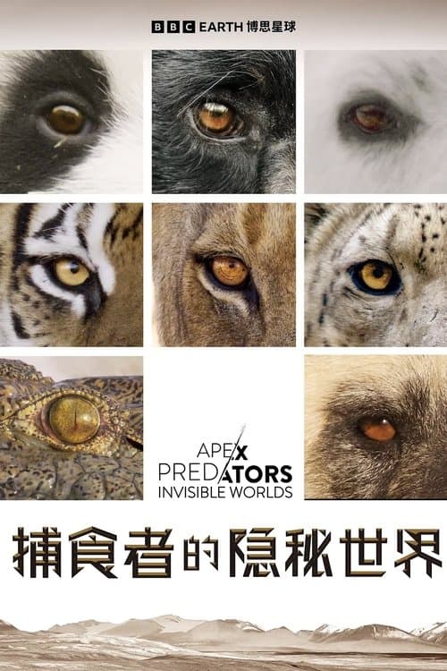 Title poster
