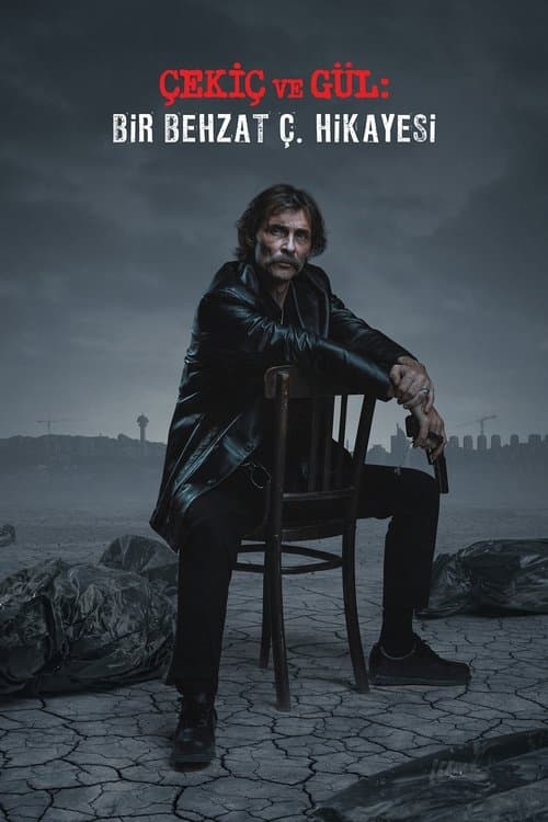 undefined poster