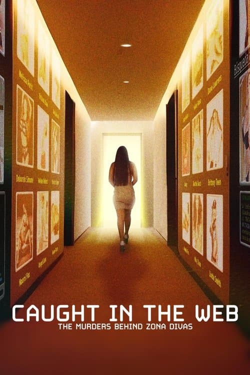 undefined poster
