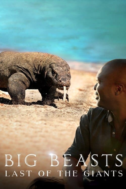 undefined poster