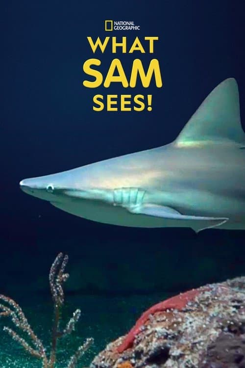 Title poster