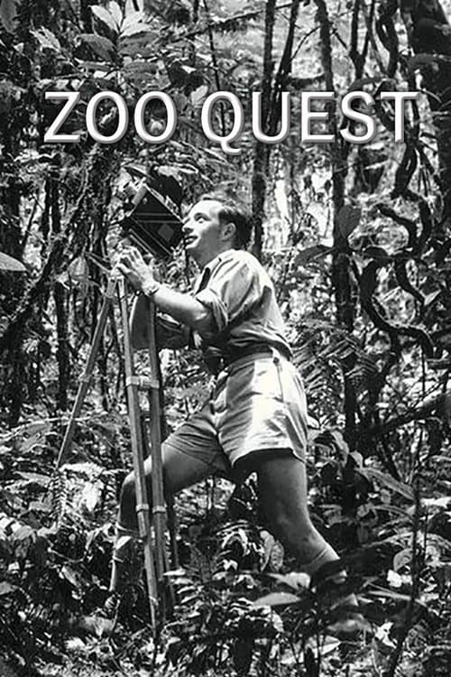 Title poster
