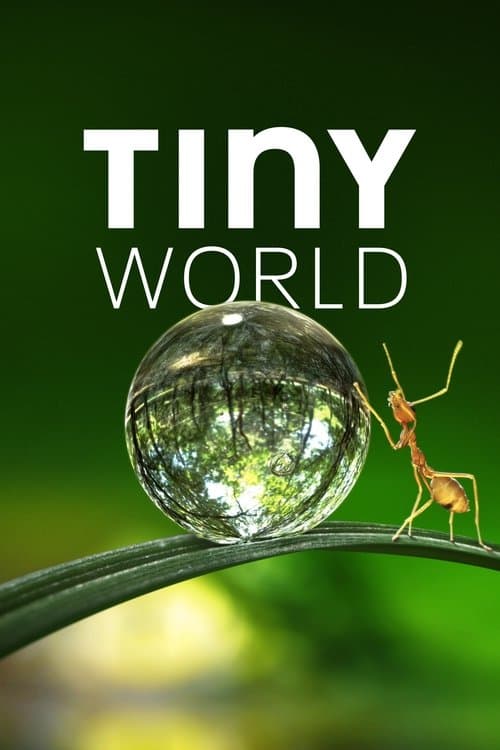 Title poster
