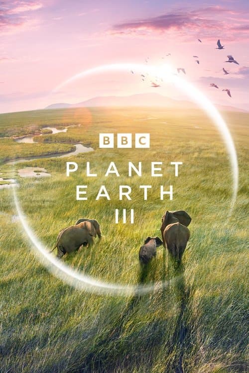 Title poster