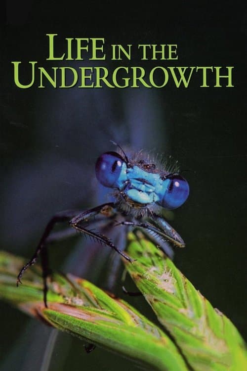Title poster