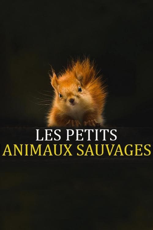 Title poster
