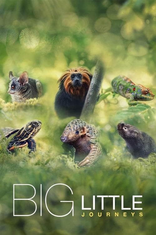Title poster