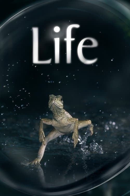Title poster