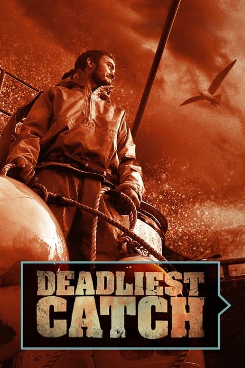 undefined poster