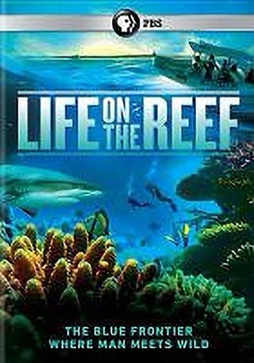 undefined poster