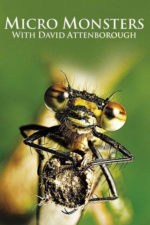undefined poster
