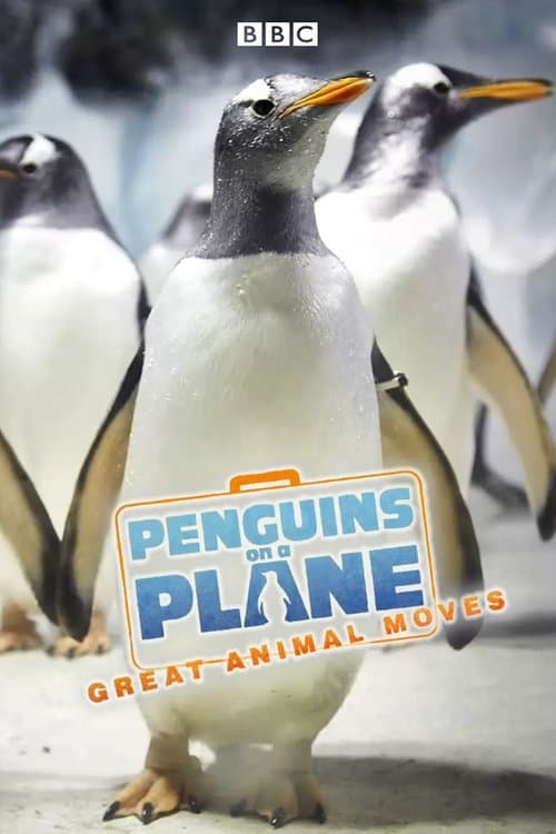 Title poster