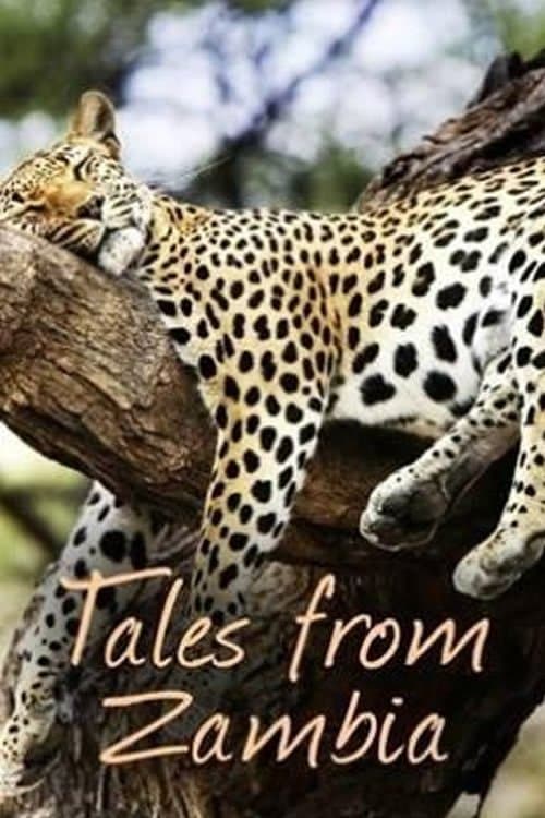 Title poster