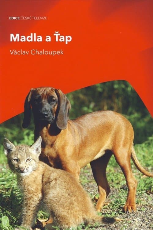 Title poster