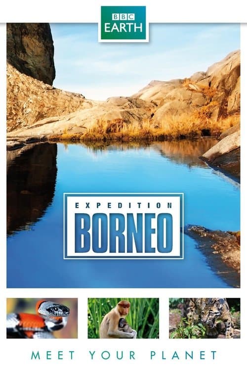 undefined poster