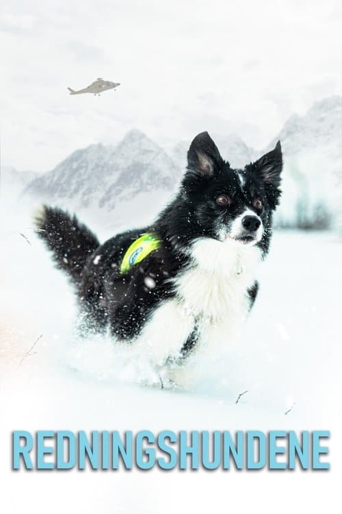 undefined poster