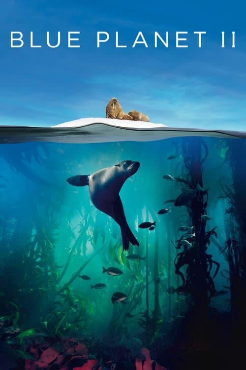 undefined poster