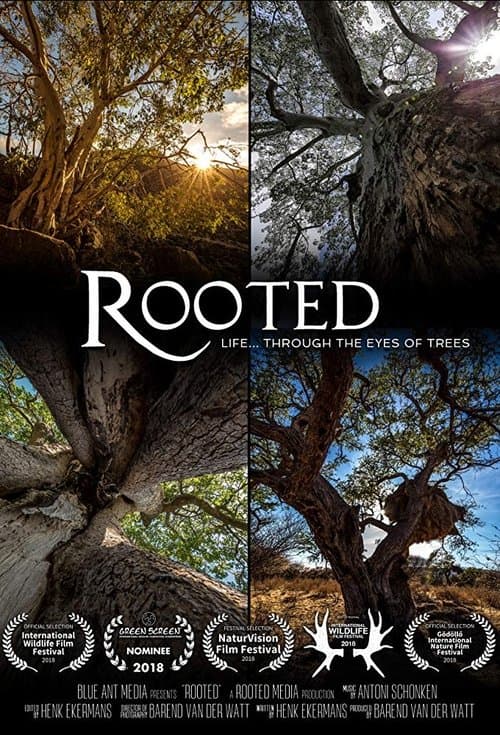 Title poster