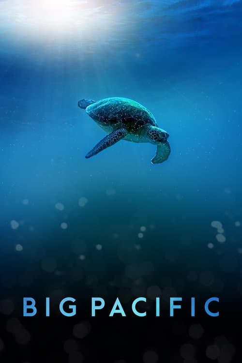 undefined poster