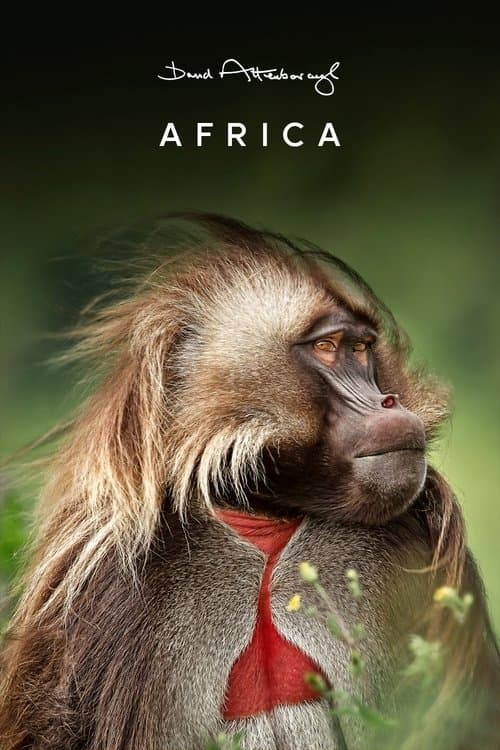 undefined poster