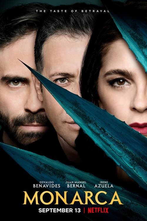 undefined poster