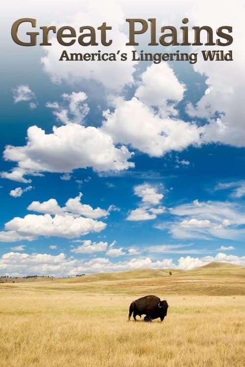 undefined poster