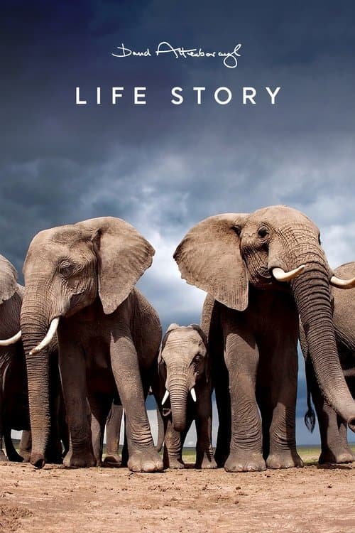 Title poster