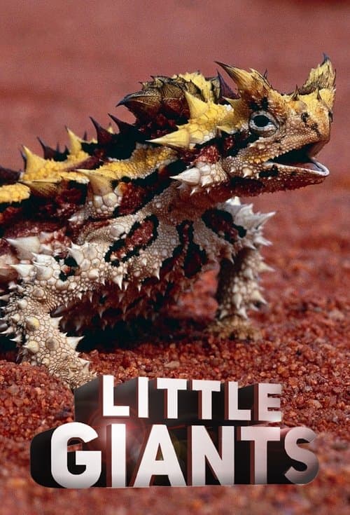 Title poster